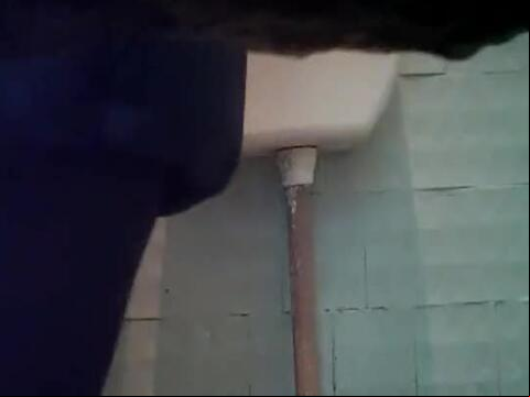 Piss1081